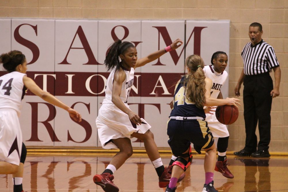 TAMIU BB v StEd - 006