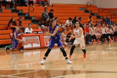 GBBvLadyCats - 076